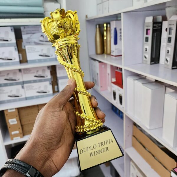Crown Shaped Award - Image 2